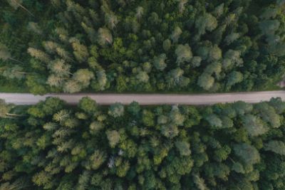 Loodus 7 — JN Visuals · Eesti loodus — rabad, rannad, kosed, mets
