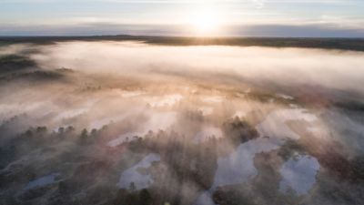 Loodus 12 — JN Visuals · Eesti loodus — rabad, rannad, kosed, mets