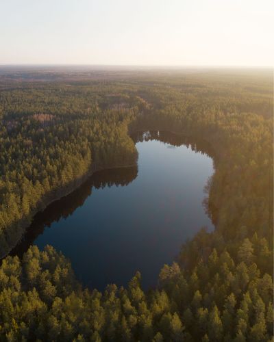 Loodus 13 — JN Visuals · Eesti loodus — rabad, rannad, kosed, mets