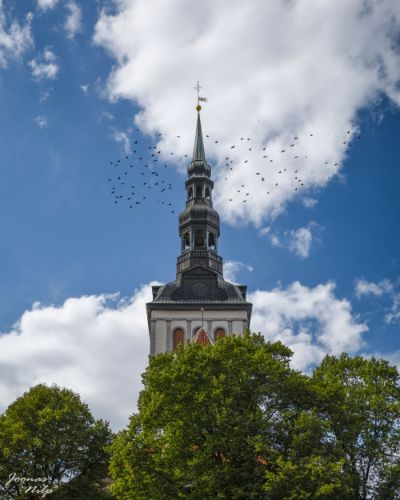Kinnisvara 14 — JN Visuals · Kinnisvara fotograafia ja droonivideo
